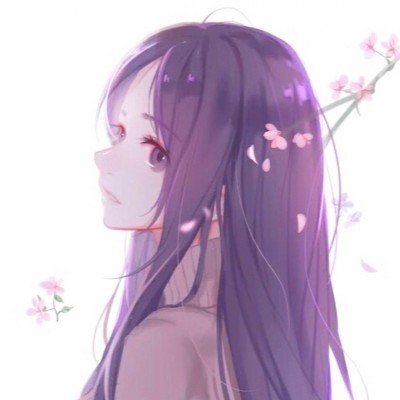 藏73盒药入境被查